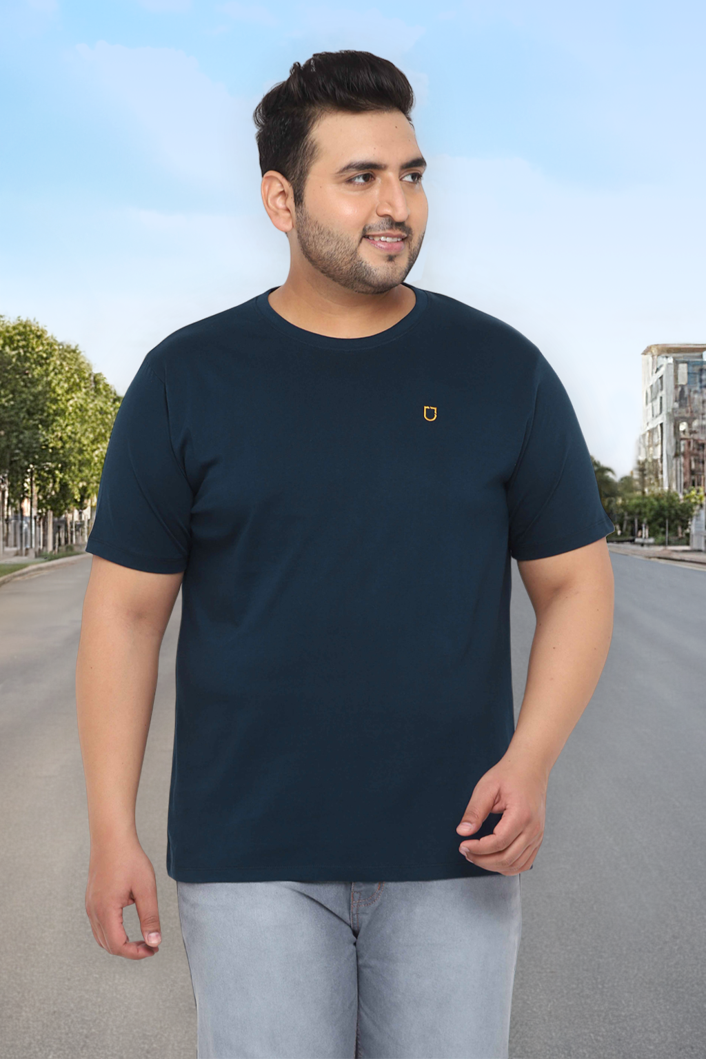 Plus Men's Navy Blue Solid Regular Fit Round Neck Cotton T-Shirt