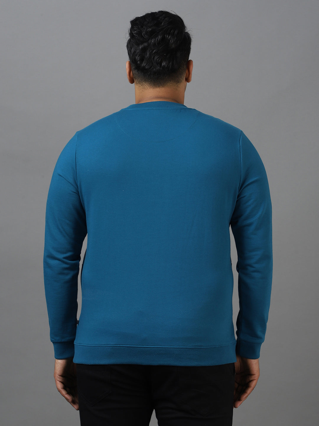 Plus Men's Green Cotton Color Block Round Neck Sweatshirt